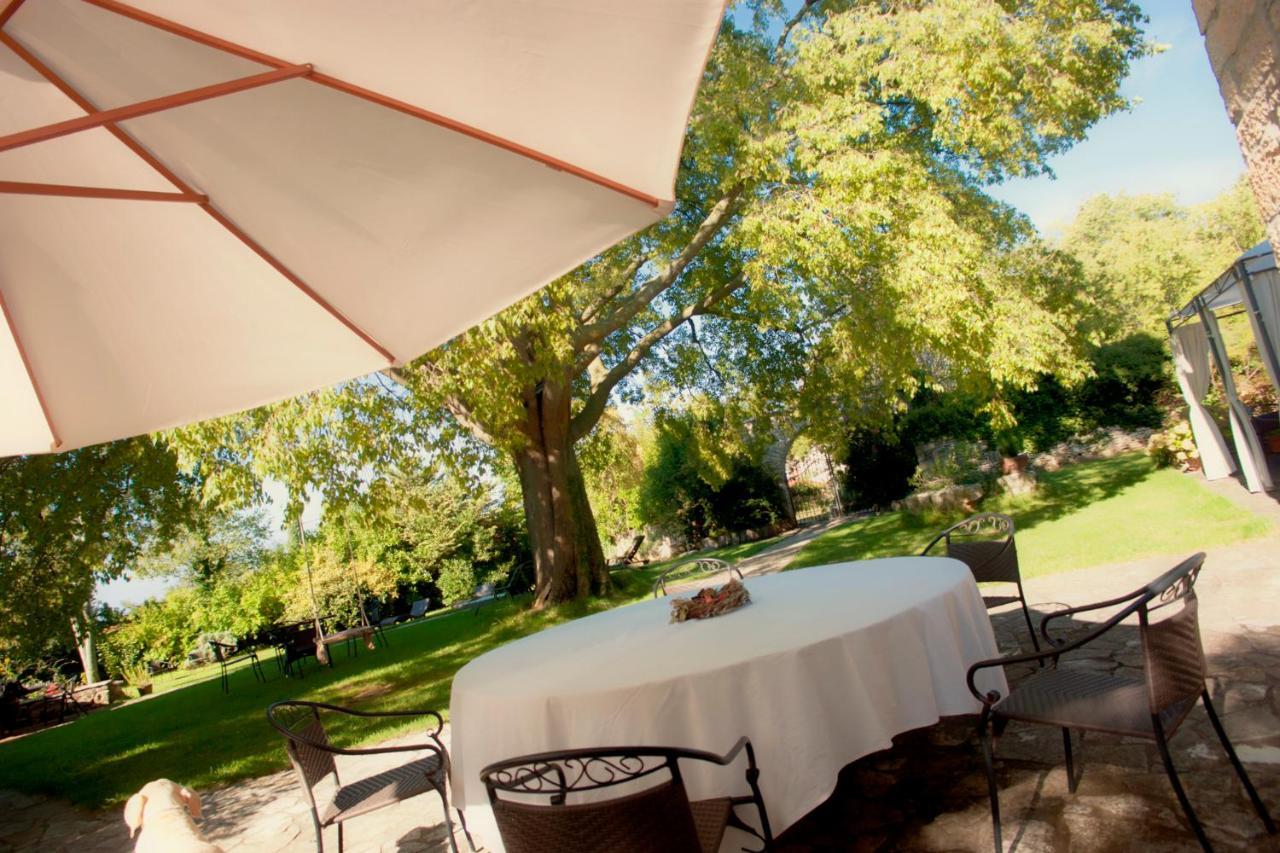 Boutique B&B Stancija 1904 Adults Only Svetvinčenat 外观 照片