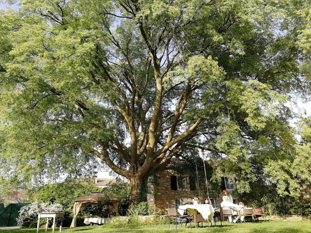 Boutique B&B Stancija 1904 Adults Only Svetvinčenat 外观 照片
